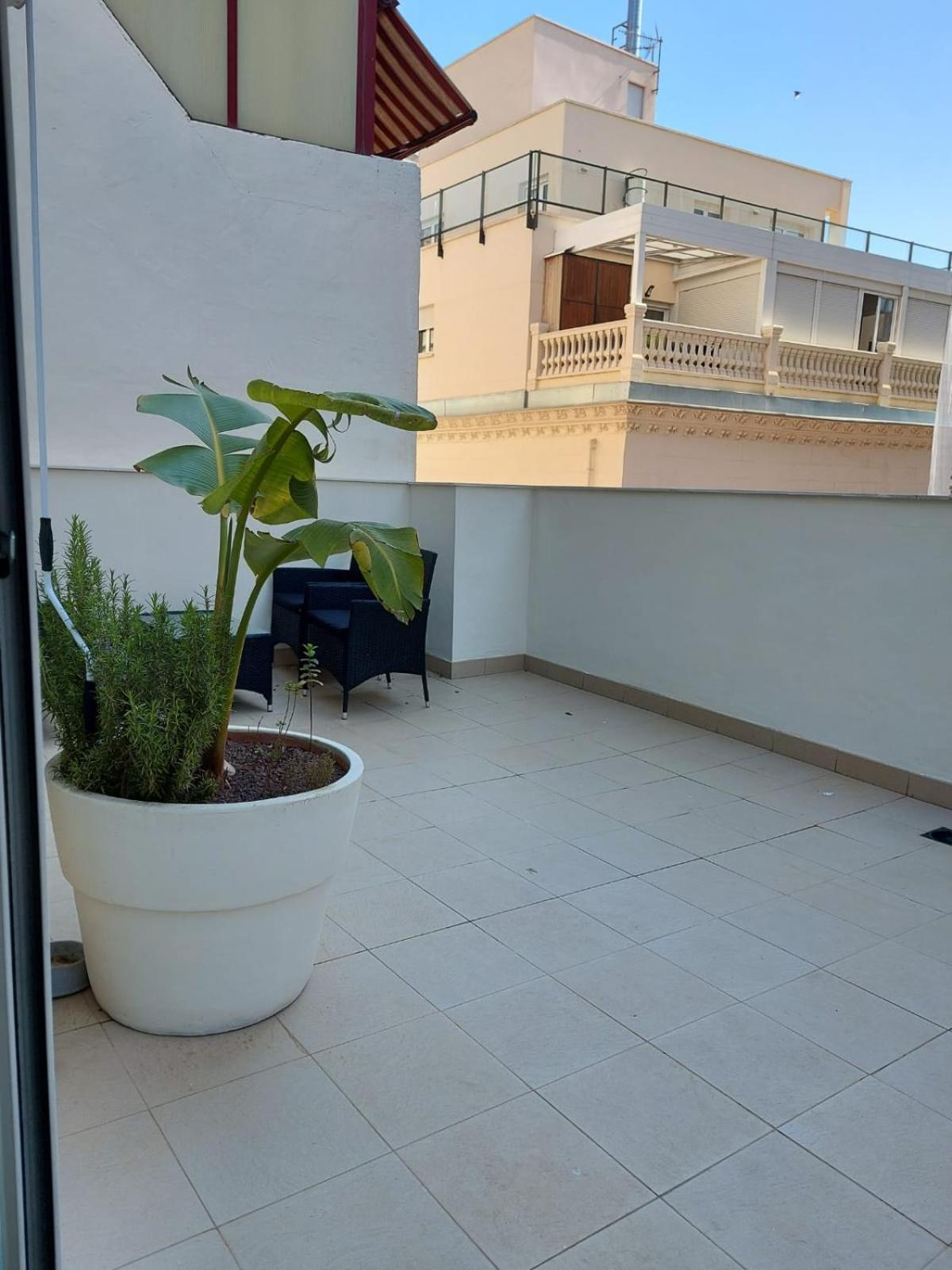 SanFernando14 Apartment Alicante Bagian luar foto